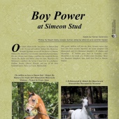 n.23 - Simeon Stud
